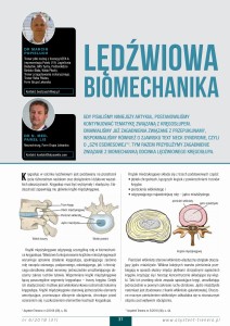 Lędźwiowa biomechanika